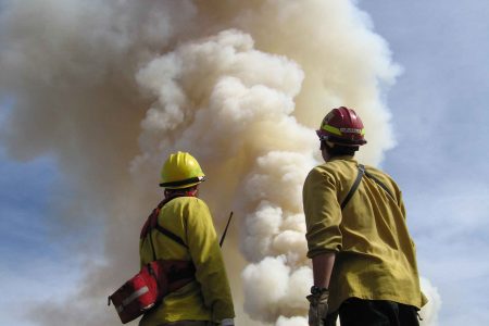 Understanding the Emergency Services from an Organizational Systems Perspective